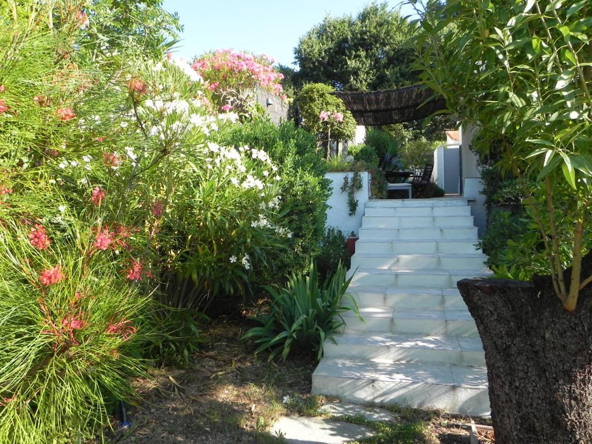 Au Pied Du Baou Avec Jardin Prive Apartment Toulon Exterior photo