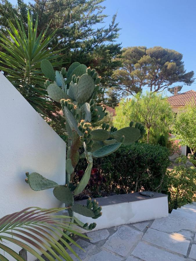 Au Pied Du Baou Avec Jardin Prive Apartment Toulon Exterior photo